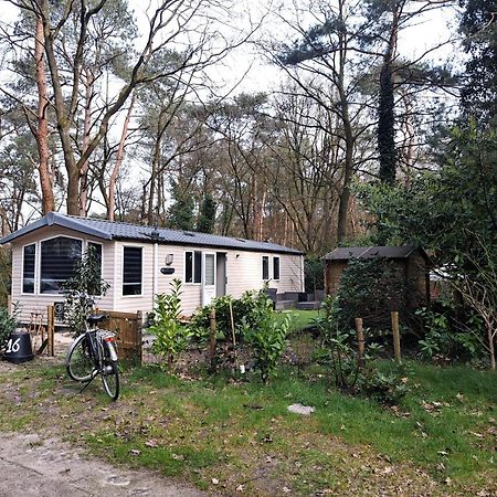 Ruim Chalet, Midden In Het Bos! Nunspeet Extérieur photo
